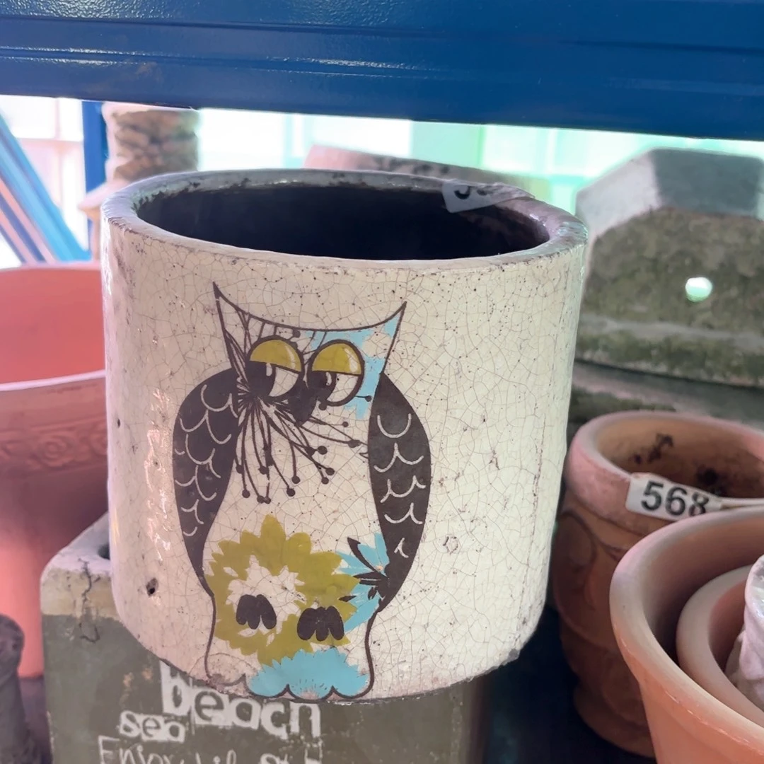 许纯的花房猫头鹰花盆