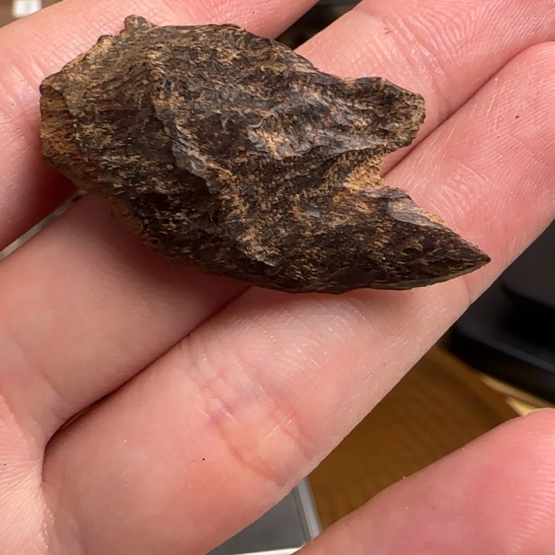 了***）惠安沉水老料沉香2克