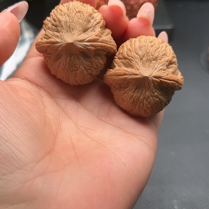 核桃38泥鳅背全品