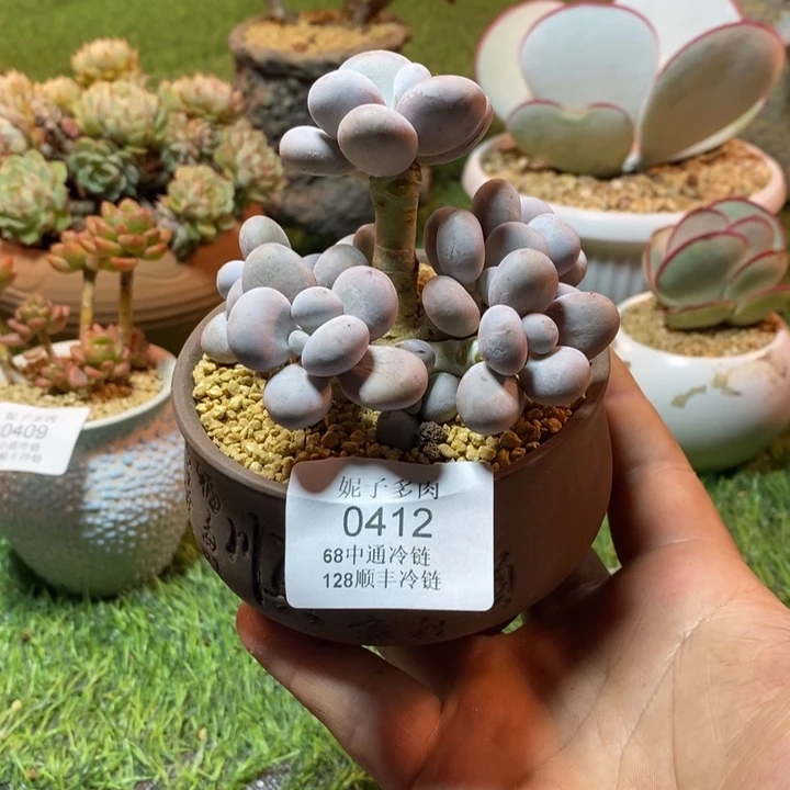 0412啊啊啊啊啊啊啊啊啊啊啊