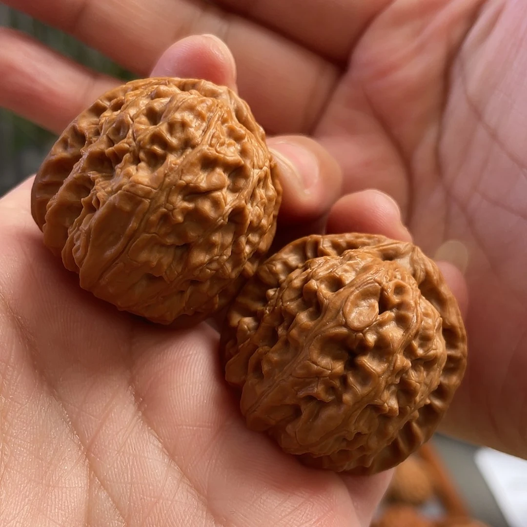 桃核把件36×38尺全品山地三角白狮子头CN01358已打底