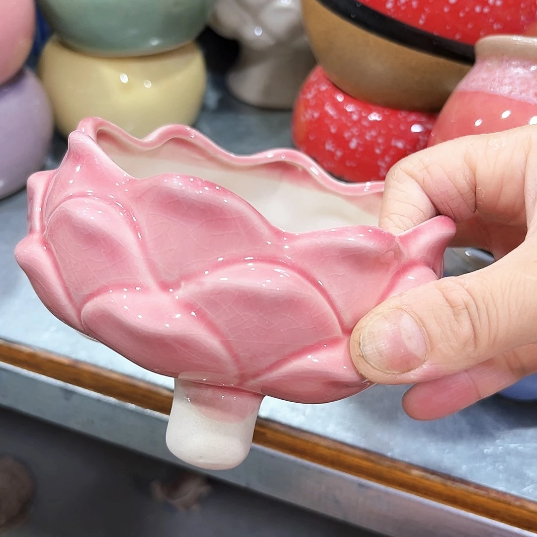 花盆花盆花盆花盆花盆花盆花盆花盆