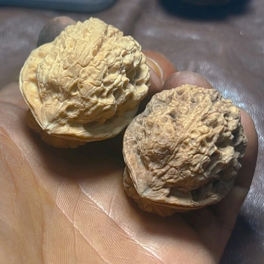 把件文玩核桃卡38古陀蟾17号
