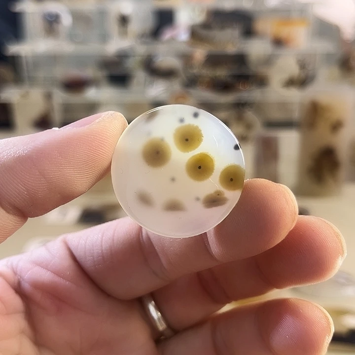 玛瑙/玉髓吊坠(不含链)未镶嵌