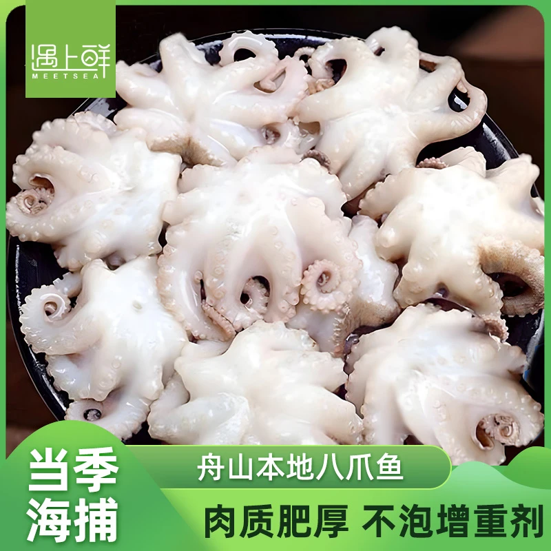 遇上鲜舟山新鲜八爪鱼 望潮 深海捕捞 野生鲜货速冻