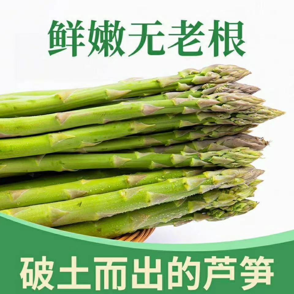 农家现采新鲜芦笋高营养绿色蔬菜一笋多吃