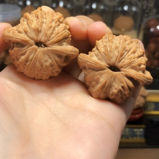 淡*精品：平谷血麒麟41尺全品