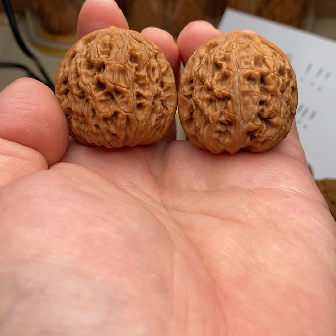 文玩核桃把件38水龙纹