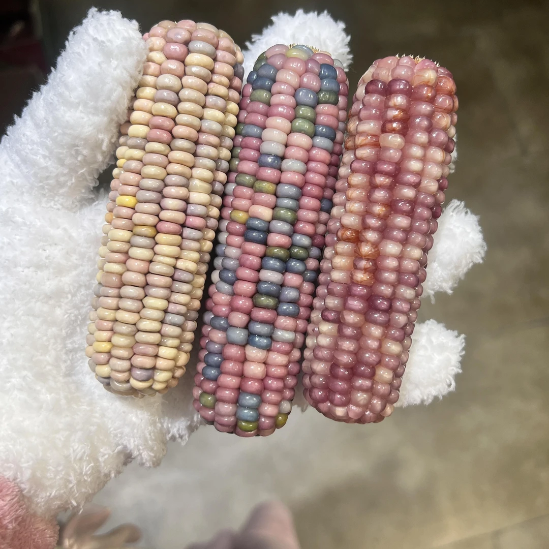 文玩玉米直播间拍（请勿私自下单）