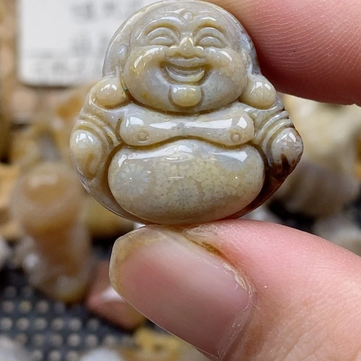 颈饰未镶嵌硅化珊瑚（珊瑚玉）小