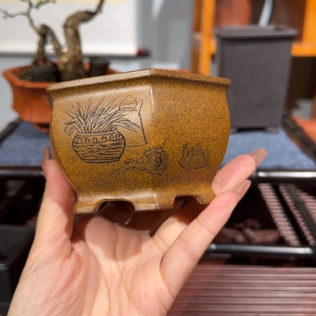 紫砂花盆口径8.3深度5.5