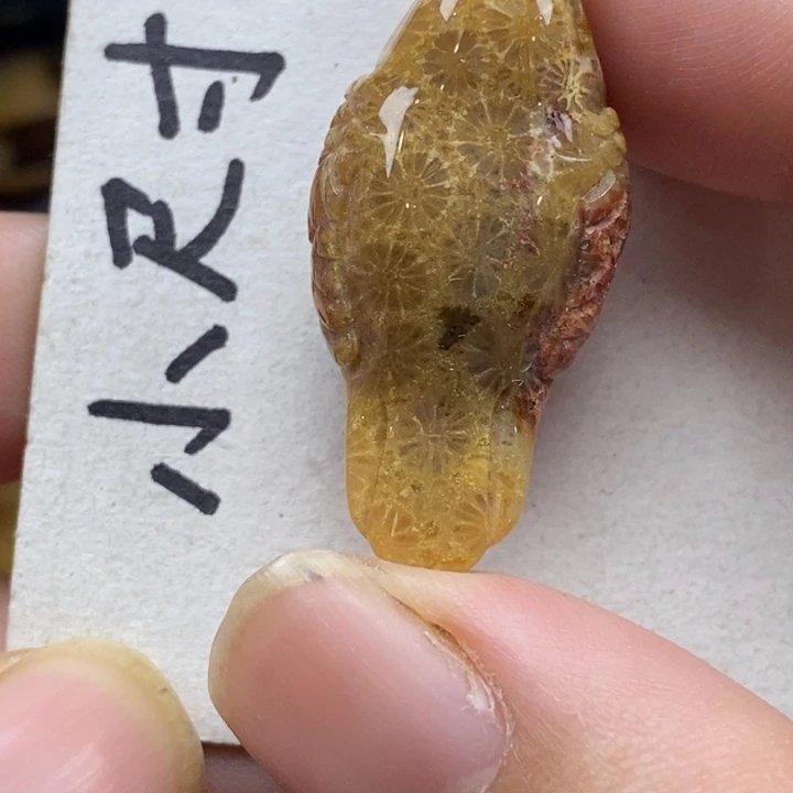 硅化珊瑚（珊瑚玉）未镶嵌颈饰