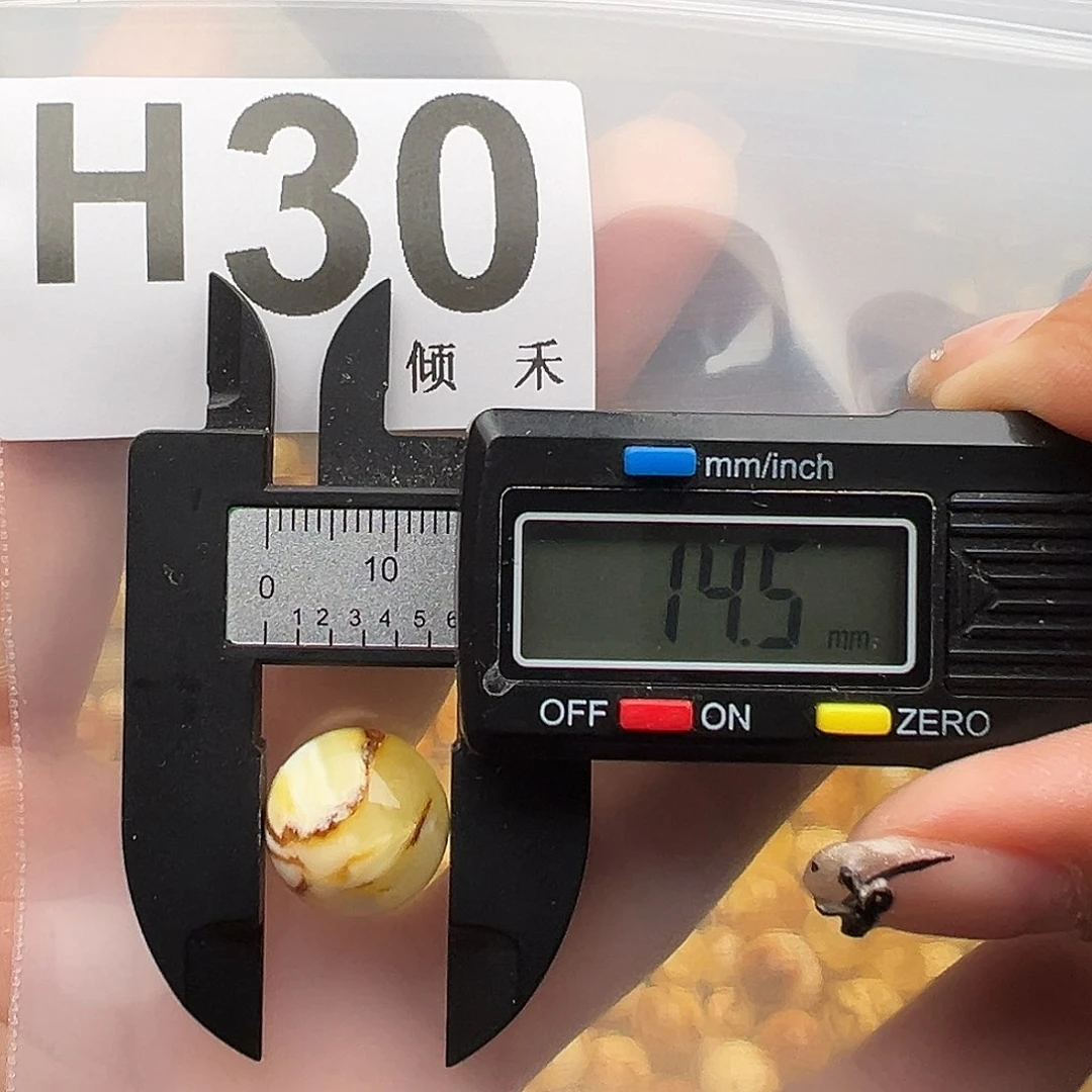 未镶嵌琥珀裸石14