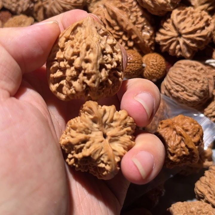 不***道桃核把件狮子头核桃教练