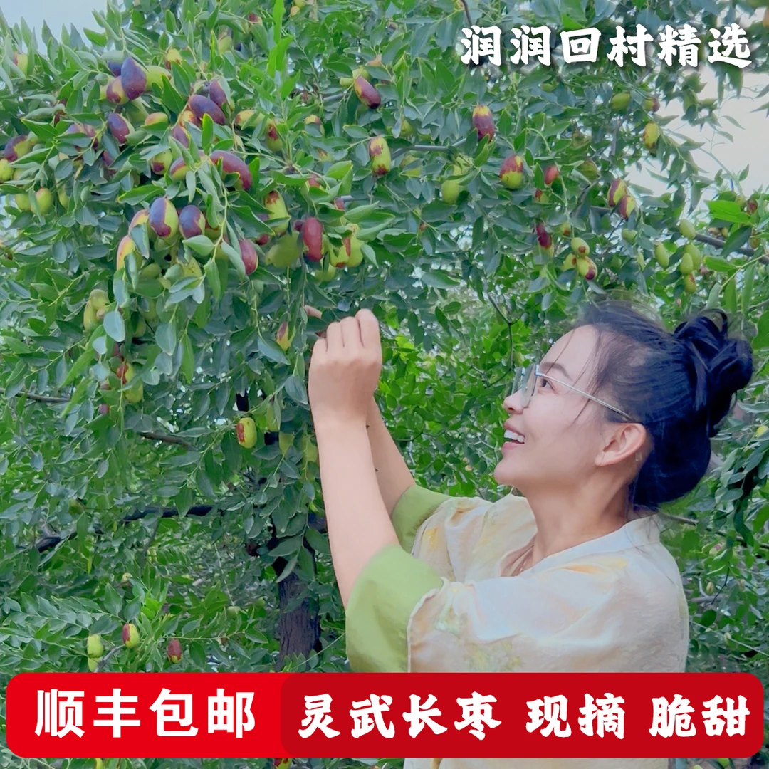灵武长枣【润润专属】顺丰 脆甜 现摘 枣园直发