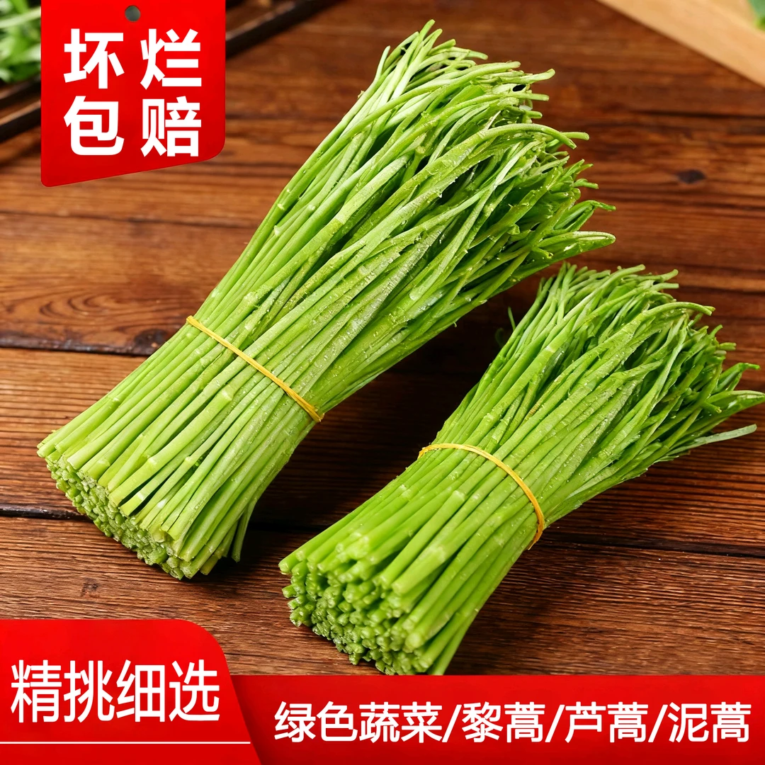新鲜芦蒿当季蔬菜不带叶农家黎蒿篱蒿泥蒿蓠蒿漓篙离芦蒿