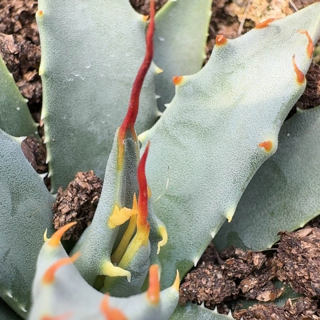 【闪购商品】4哈哈哈哈哈哈哈