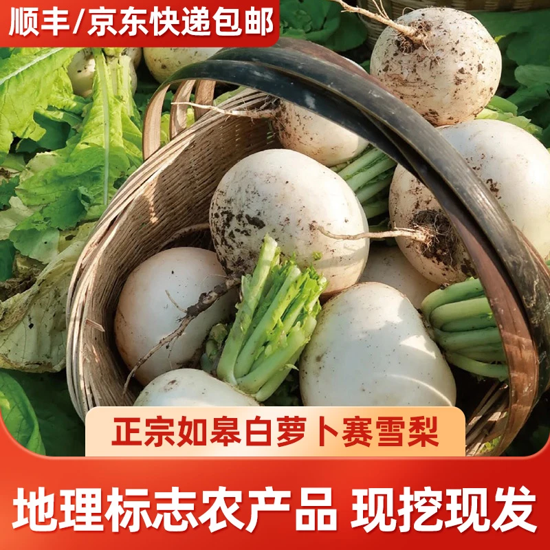 [善食源]如皋本地白萝卜 5斤 露天种植 清脆 煲汤 现采现发