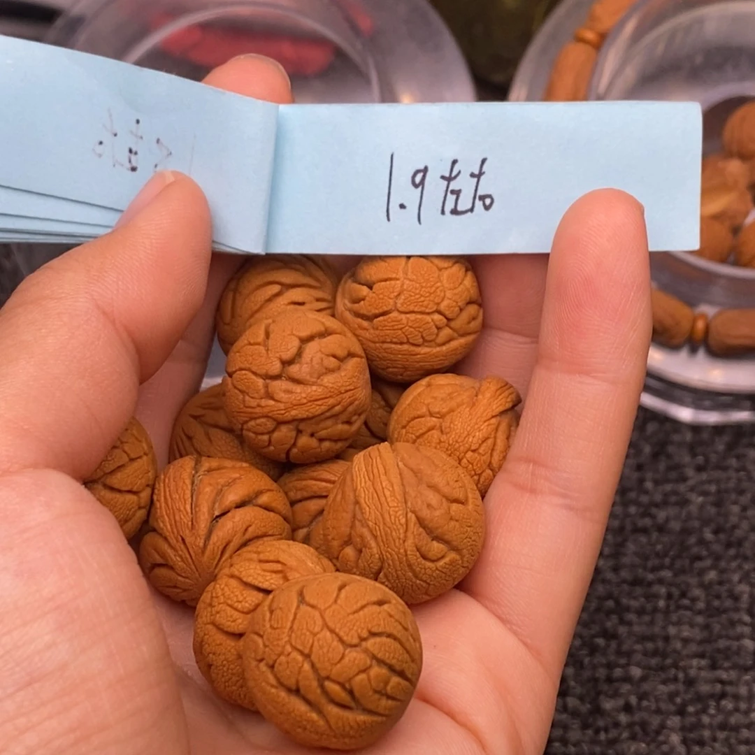 秦岭山脉龙纹桃核 14