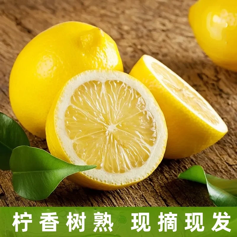 【黄金果】广东香水柠檬黄金果茶饮摊奶茶店商用黄柠檬榨汁网红饮品