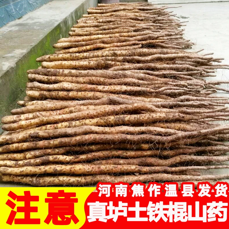 新鲜垆土铁棍山药河南焦作温县正宗铁杆怀山药产地直发2025年现挖
