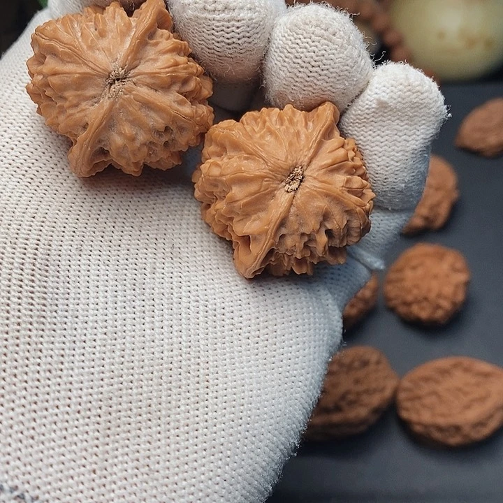 把件文玩核桃风*尘秦岭野生金豆