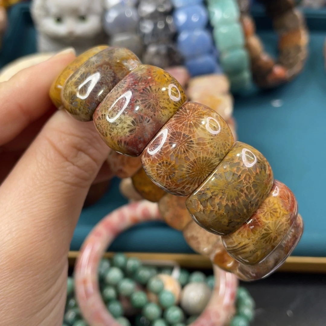 未镶嵌手镯硅化玉