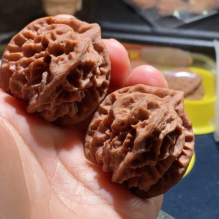 【闪购商品】吊坠文玩核桃曹大龙