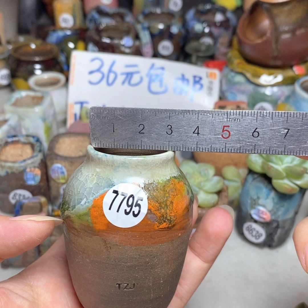 拍5送一个小礼物