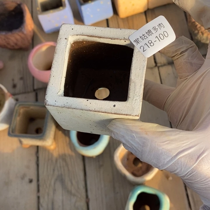 红陶腰*b100号一个呀呀