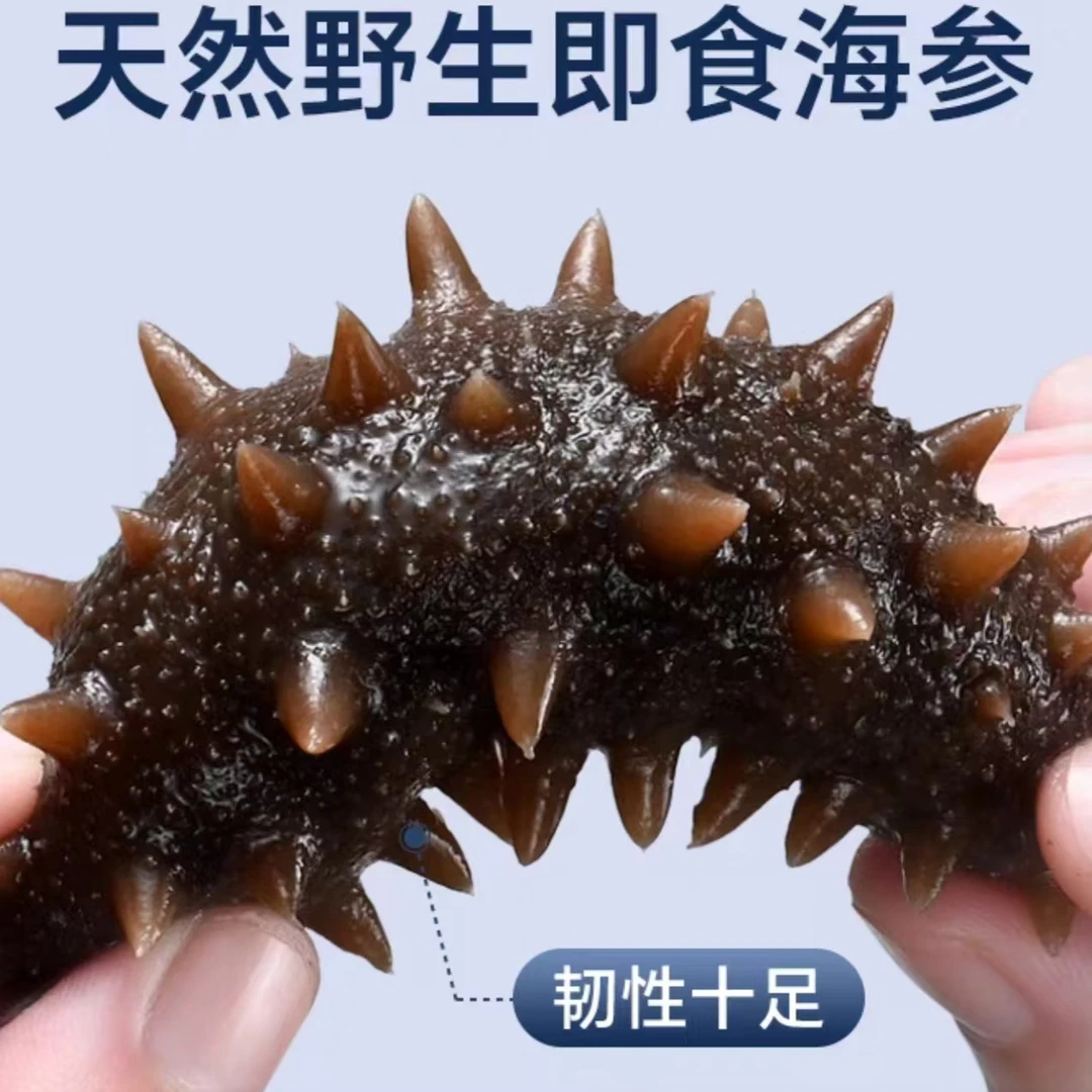 【礼盒装】大连头号海真辽参即食鲜蒸正宗无养殖