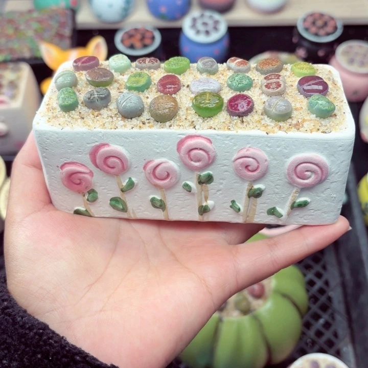 605零下地区记得拍保温箱