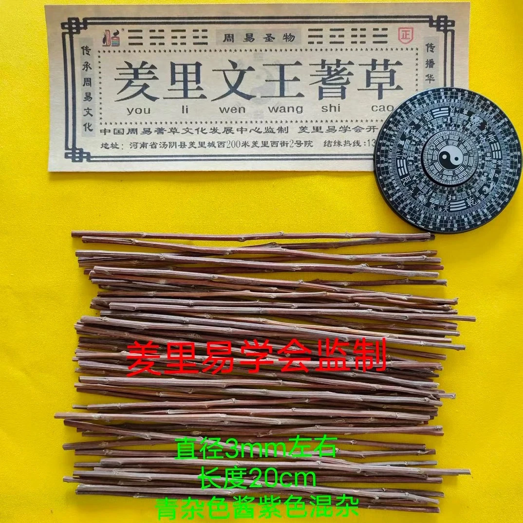 正宗蓍草正品蓍草羑里文王蓍草筹策易经大衍筮法蓍草耐用传承经典