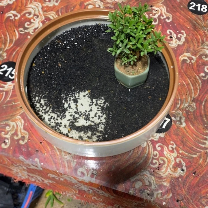 风***念完全开放退款拉黑78
