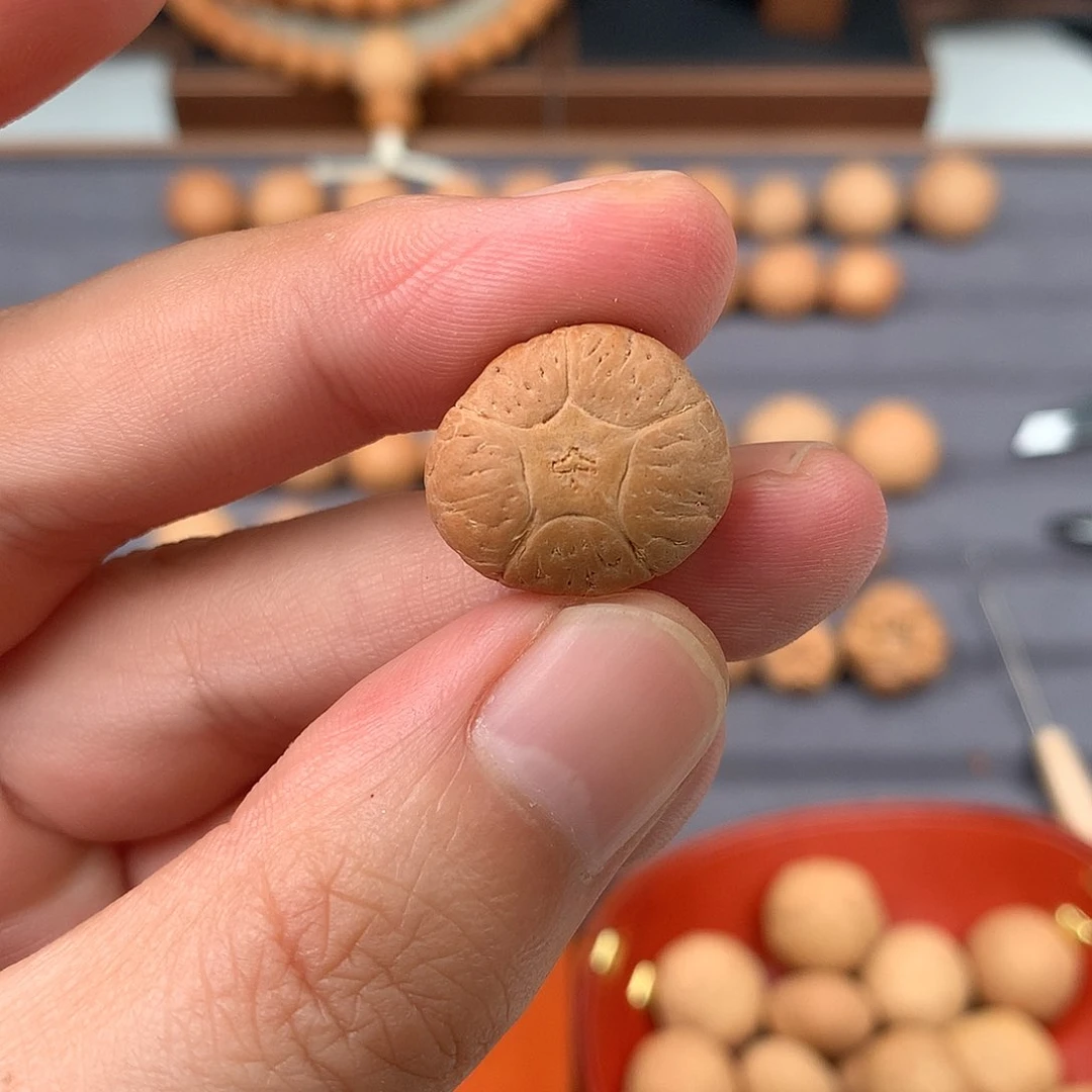 手串凤眼菩提19+五星，非质量问题开孔不退