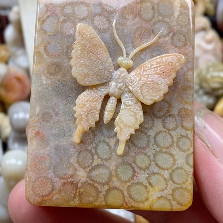 颈饰未镶嵌硅化珊瑚（珊瑚玉）