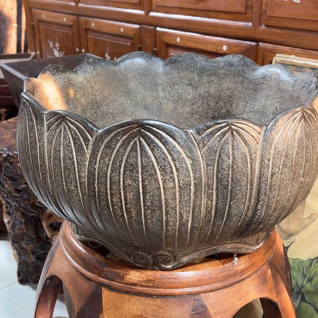 ༽****꧂超级福利超级福利