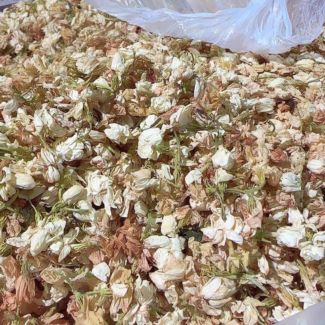 中国大陆茉莉花100克