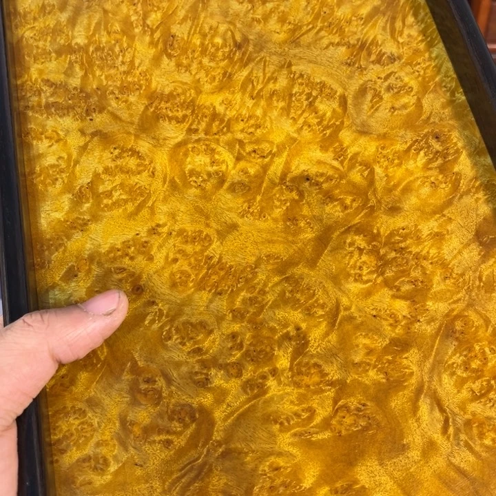 木黄金樟留疤独板托盘