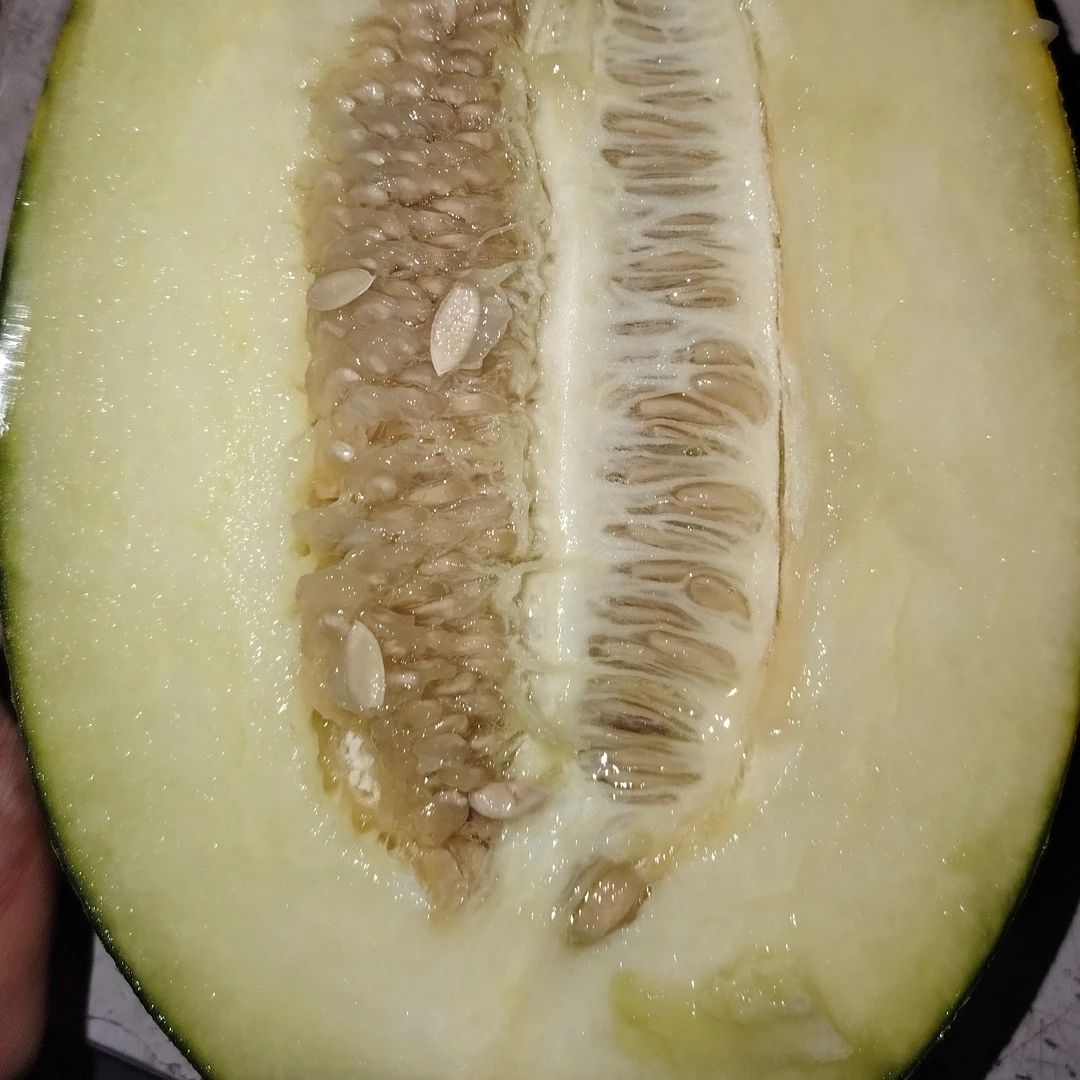 بىشەكچى 伽师甜瓜（半个）1.3公斤左右