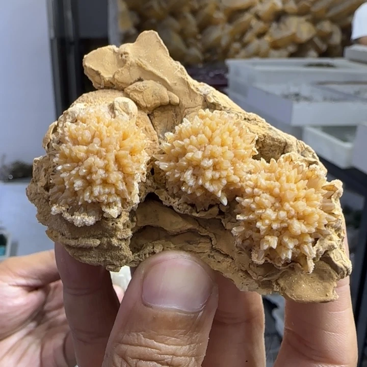 昌化石印石原石料