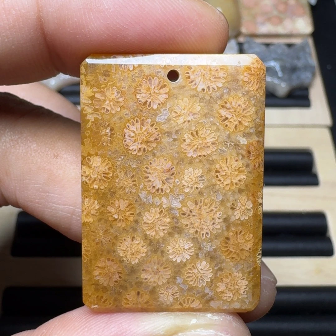 未镶嵌纯天然色有机玉石保真色硅化玉
