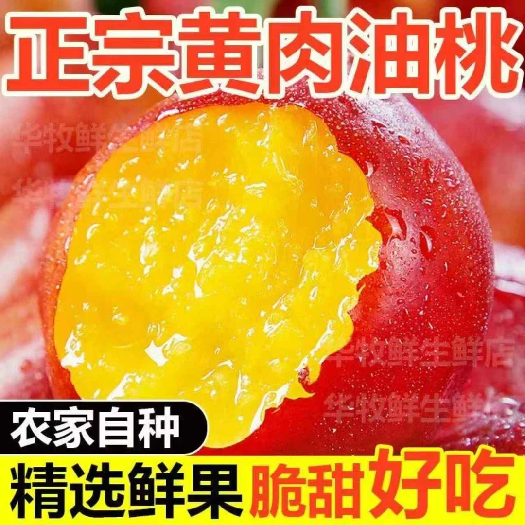 云南高山黄心油桃新鲜采摘现摘现发桃子应季水果果园直发