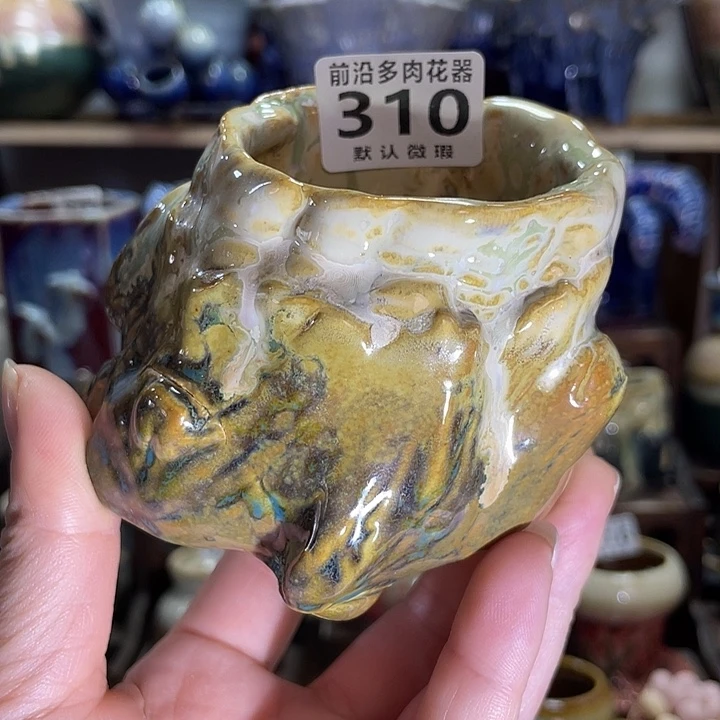 狼盆内口径5高度7