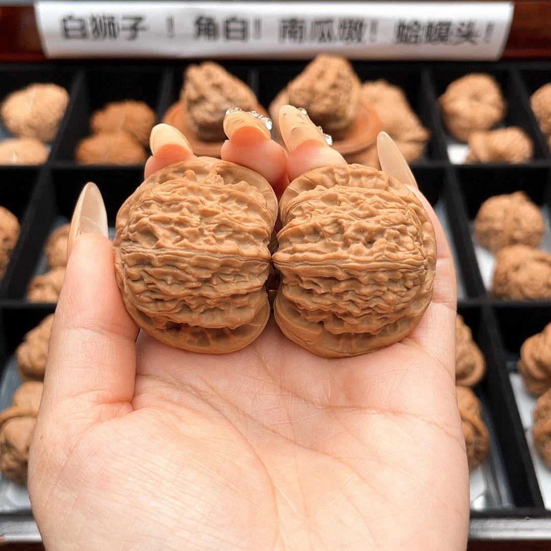 把件文玩核桃41白狮子主筋居中,饱满全品S4102