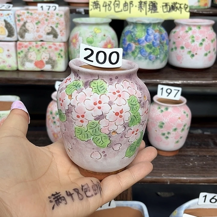 手工制作多肉花盆