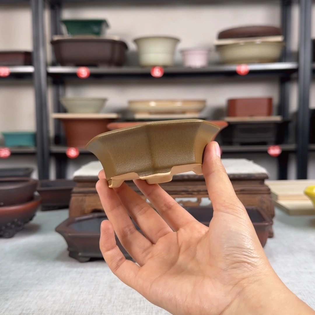 紫砂花盆福利款2