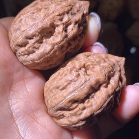 文玩核桃把件东北野生楸子小美08