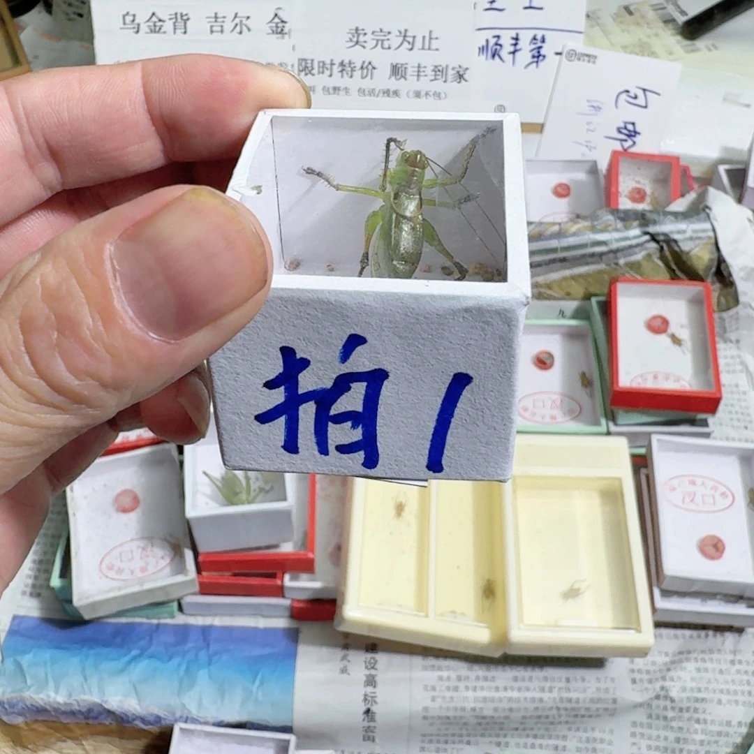 吉尔一个 福利多多呀