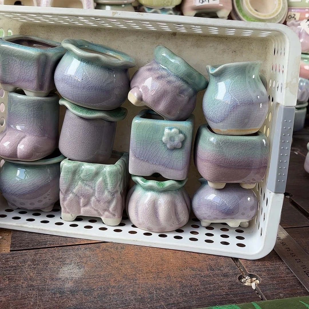 量货/4-5口高深浅搭配发12